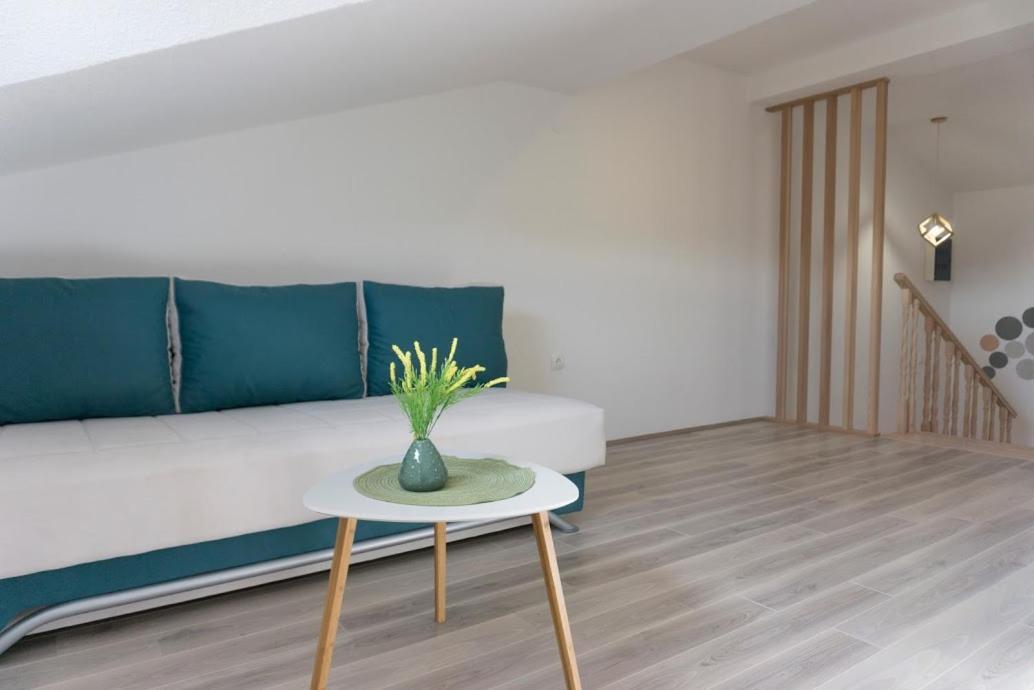 Apartmani Ivkovic+ トレビニエ エクステリア 写真
